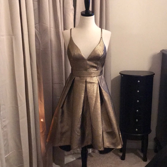 a.peach Dresses & Skirts - NWOT BRONZE HI LO DRESS